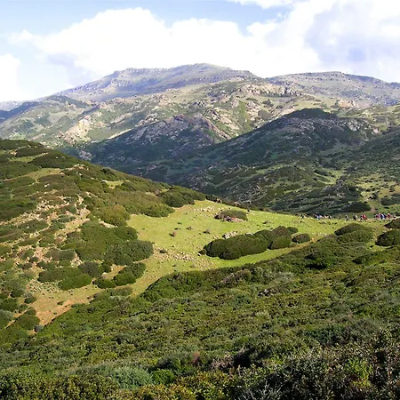 Szálloda Palazzo Pischedda Bosa